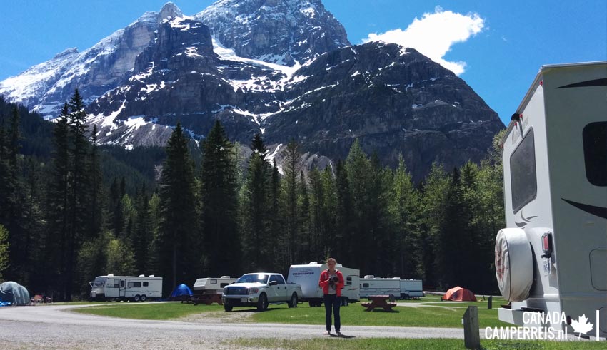 Camping Kicking Horse Field