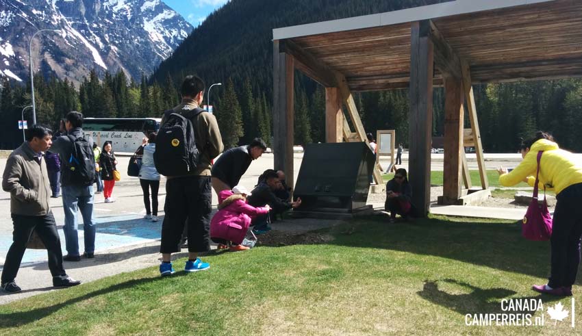 Rogers Pass en de eekhoorn
