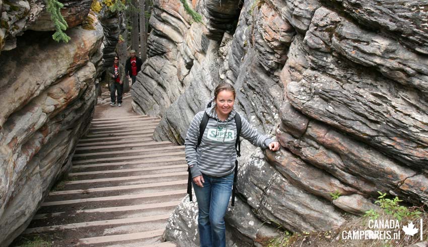 Athabasca Falls