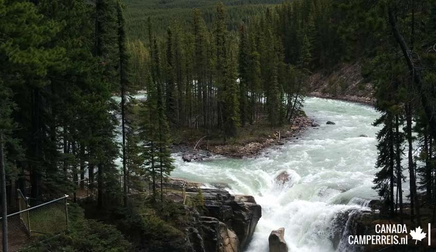 Sunwapta falls