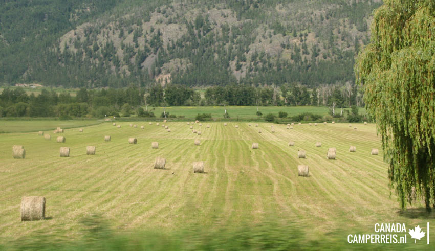 Cache Creek