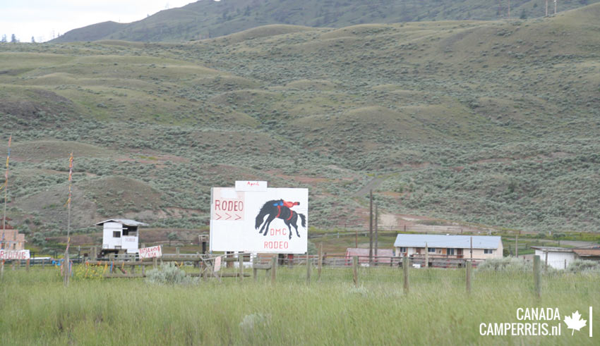 Rodeo