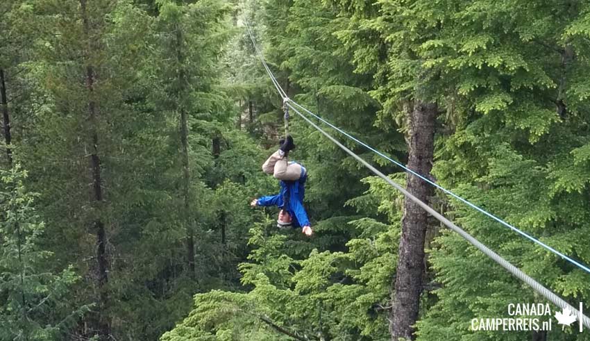 Ziptrek Rogier