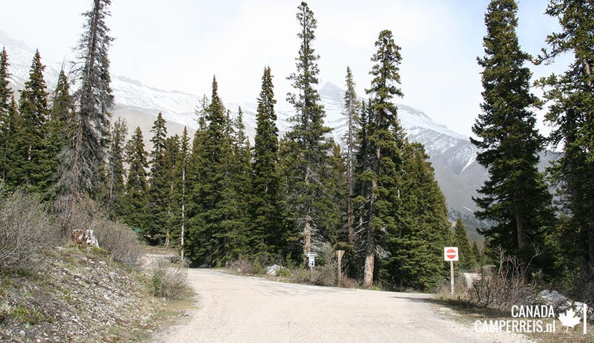 Camping Wilcox Creek
