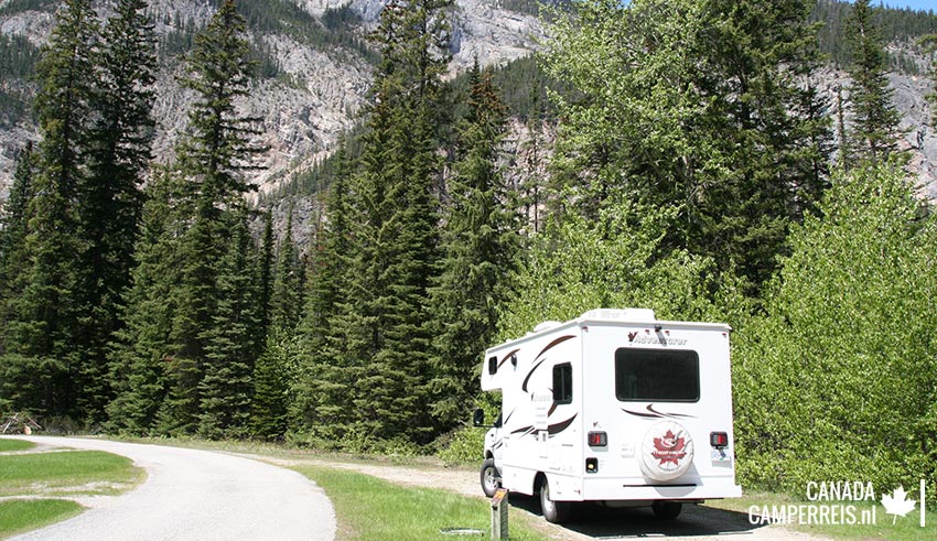 Kicking Horse Campground