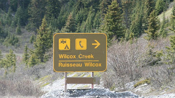 Wilcox Creek